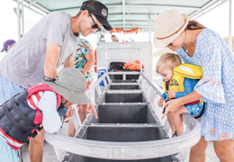 tangalooma marine discovery day cruise